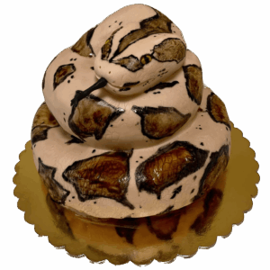 Torták